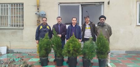 کاشت درخت روز درختکاری