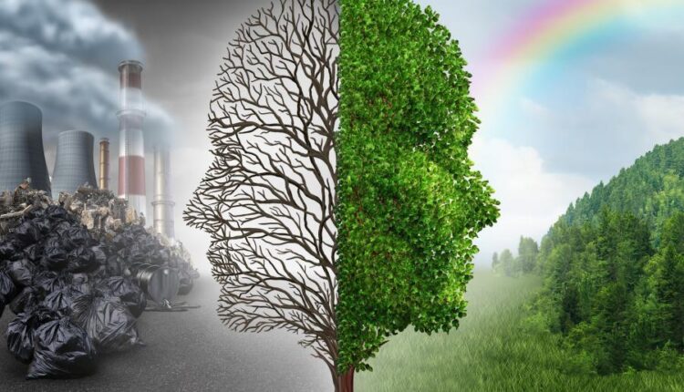 جدید ترین اخبار محیط زیست