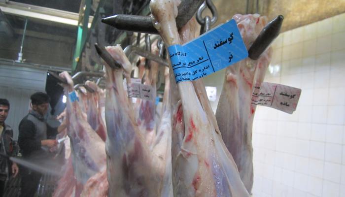 بهداشت و دامپزشکی